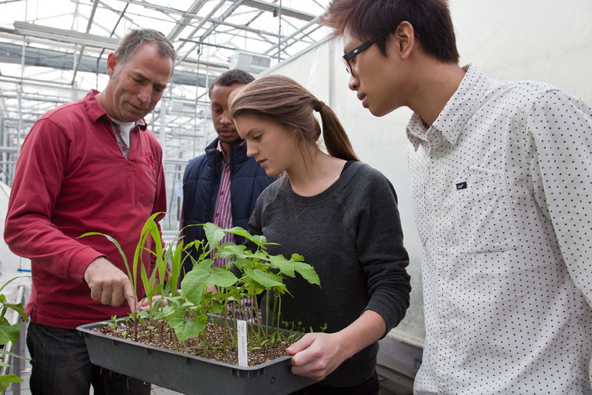 Horticulture and Business and Management at HAS University of Applied Sciences